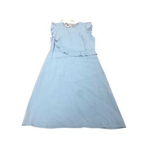 Blue Ruffled Sleeve Dress